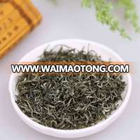 Tea factory supplier China green tea